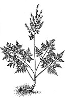 J0615.jpg J0615.jpg