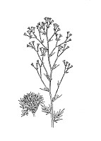 J0617.jpg J0617.jpg