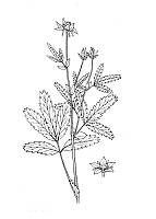 J0618.jpg J0618.jpg