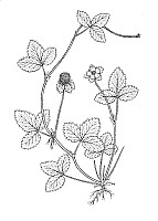 J0619.jpg J0619.jpg