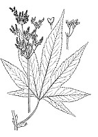 J0620.jpg J0620.jpg