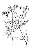 J0621.jpg J0621.jpg