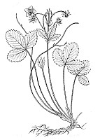 J0623.jpg J0623.jpg