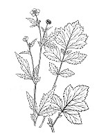 J0626.jpg J0626.jpg