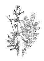 J0630.jpg J0630.jpg