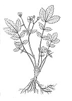 J0639.jpg J0639.jpg