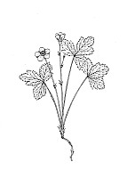 J0653.jpg J0653.jpg