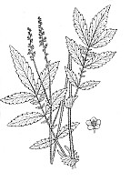 J0656.jpg J0656.jpg