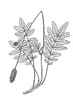 J0658.jpg J0658.jpg
