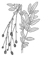 J0659.jpg J0659.jpg