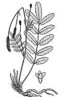 J0662.jpg J0662.jpg