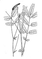 J0663.jpg J0663.jpg