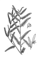 J0667.jpg J0667.jpg