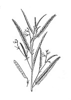 J0670.jpg J0670.jpg