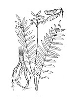 J0672.jpg J0672.jpg