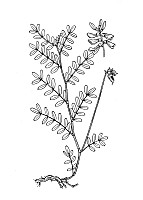 J0675.jpg J0675.jpg