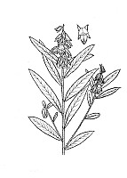 J0678.jpg J0678.jpg
