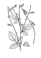 J0683.jpg J0683.jpg