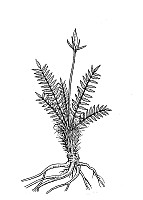 J0688.jpg J0688.jpg