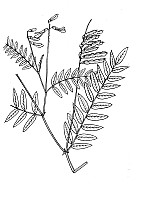J0689.jpg J0689.jpg