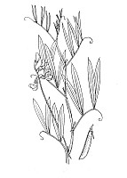 J0698.jpg J0698.jpg