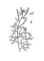 J0710.jpg J0710.jpg