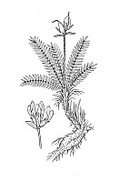 J0711.jpg J0711.jpg