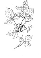 J0713.jpg J0713.jpg