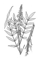 J0714.jpg J0714.jpg