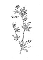 J0715.jpg J0715.jpg