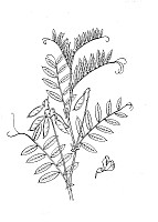 J0718.jpg J0718.jpg