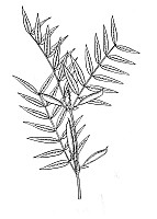 J0723.jpg J0723.jpg
