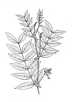 J0729.jpg J0729.jpg