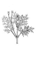 J0741.jpg J0741.jpg