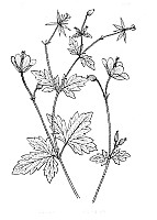 J0747.jpg J0747.jpg