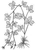 J0754.jpg J0754.jpg