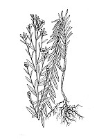 J0760.jpg J0760.jpg