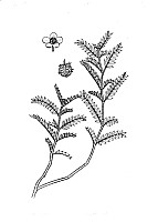 J0762.jpg J0762.jpg