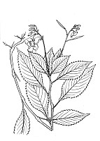 J0765.jpg J0765.jpg