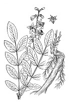 J0767.jpg J0767.jpg