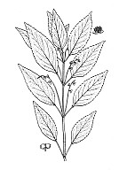 J0769.jpg J0769.jpg