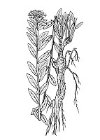 J0785.jpg J0785.jpg