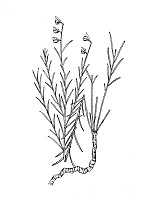 J0789.jpg J0789.jpg