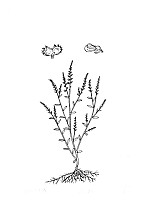 J0791.jpg J0791.jpg