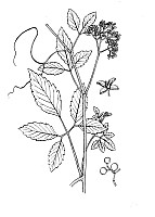 J0794.jpg J0794.jpg
