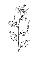 J0797.jpg J0797.jpg