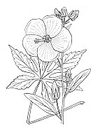 J0798.jpg J0798.jpg