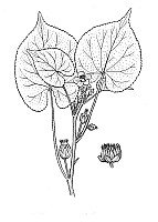 J0799.jpg J0799.jpg