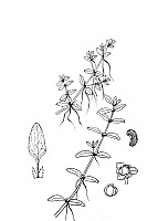 J0811.jpg J0811.jpg