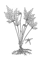 J0818.jpg J0818.jpg